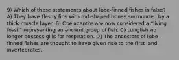 9) Which of these statements about lobe-finned fishes is false? A) They have fleshy fins with rod-shaped bones surrounded by a thick muscle layer. B) Coelacanths are now considered a "living fossil" representing an ancient group of fish. C) Lungfish no longer possess gills for respiration. D) The ancestors of lobe-finned fishes are thought to have given rise to the first land invertebrates.