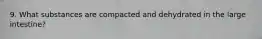 9. What substances are compacted and dehydrated in the large intestine?