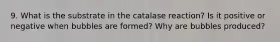 9. What is the substrate in the catalase reaction? Is it positive or negative when bubbles are formed? Why are bubbles produced?