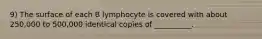 9) The surface of each B lymphocyte is covered with about 250,000 to 500,000 identical copies of __________.