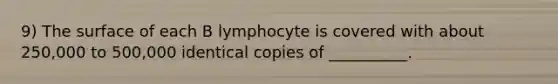 9) The surface of each B lymphocyte is covered with about 250,000 to 500,000 identical copies of __________.