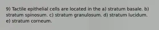 9) Tactile epithelial cells are located in the a) stratum basale. b) stratum spinosum. c) stratum granulosum. d) stratum lucidum. e) stratum corneum.