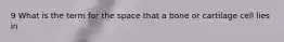 9 What is the term for the space that a bone or cartilage cell lies in