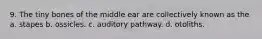 9. The tiny bones of the middle ear are collectively known as the a. stapes b. ossicles. c. auditory pathway. d. otoliths.