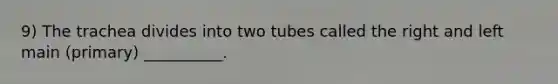 9) The trachea divides into two tubes called the right and left main (primary) __________.