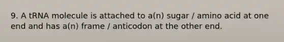 9. A tRNA molecule is attached to a(n) sugar / amino acid at one end and has a(n) frame / anticodon at the other end.