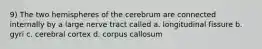 9) The two hemispheres of the cerebrum are connected internally by a large nerve tract called a. longitudinal fissure b. gyri c. cerebral cortex d. corpus callosum