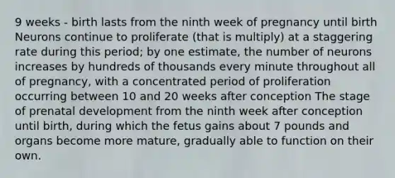 9 weeks - birth lasts from the ninth week of pregnancy until birth Neurons continue to proliferate (that is multiply) at a staggering rate during this period; by one estimate, the number of neurons increases by hundreds of thousands every minute throughout all of pregnancy, with a concentrated period of proliferation occurring between 10 and 20 weeks after conception The stage of prenatal development from the ninth week after conception until birth, during which the fetus gains about 7 pounds and organs become more mature, gradually able to function on their own.