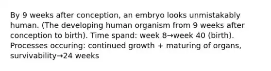 By 9 weeks after conception, an embryo looks unmistakably human. (The developing human organism from 9 weeks after conception to birth). Time spand: week 8→week 40 (birth). Processes occuring: continued growth + maturing of organs, survivability→24 weeks