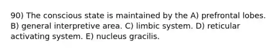 90) The conscious state is maintained by the A) prefrontal lobes. B) general interpretive area. C) limbic system. D) reticular activating system. E) nucleus gracilis.