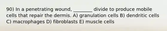 90) In a penetrating wound, ________ divide to produce mobile cells that repair <a href='https://www.questionai.com/knowledge/kEsXbG6AwS-the-dermis' class='anchor-knowledge'>the dermis</a>. A) granulation cells B) dendritic cells C) macrophages D) fibroblasts E) muscle cells