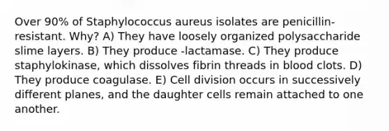 Over 90% of Staphylococcus aureus isolates are penicillin-resistant. Why? A) They have loosely organized polysaccharide slime layers. B) They produce -lactamase. C) They produce staphylokinase, which dissolves fibrin threads in blood clots. D) They produce coagulase. E) Cell division occurs in successively different planes, and the daughter cells remain attached to one another.