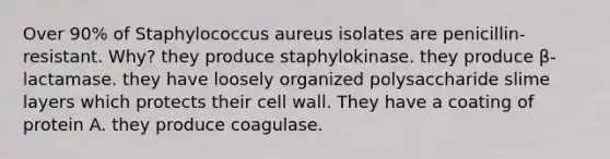 Over 90% of Staphylococcus aureus isolates are penicillin-resistant. Why? they produce staphylokinase. they produce β-lactamase. they have loosely organized polysaccharide slime layers which protects their cell wall. They have a coating of protein A. they produce coagulase.