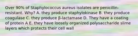 Over 90% of Staphylococcus aureus isolates are penicillin-resistant. Why? A. they produce staphylokinase B. they produce coagulase C. they produce β-lactamase D. They have a coating of protein A E. they have loosely organized polysaccharide slime layers which protects their cell wall