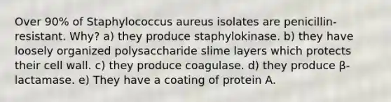 Over 90% of Staphylococcus aureus isolates are penicillin-resistant. Why? a) they produce staphylokinase. b) they have loosely organized polysaccharide slime layers which protects their cell wall. c) they produce coagulase. d) they produce β-lactamase. e) They have a coating of protein A.