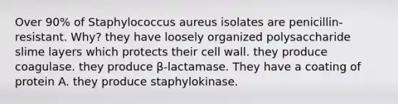 Over 90% of Staphylococcus aureus isolates are penicillin-resistant. Why? they have loosely organized polysaccharide slime layers which protects their cell wall. they produce coagulase. they produce β-lactamase. They have a coating of protein A. they produce staphylokinase.