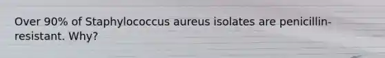 Over 90% of ​Staphylococcus aureus​ isolates are penicillin-resistant. Why?