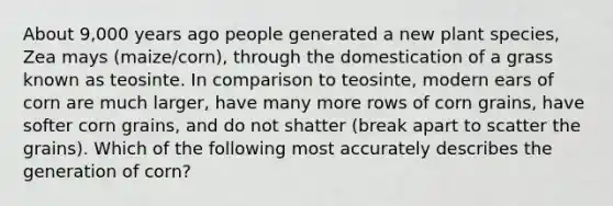 About 9,000 years ago people generated a new plant species, Zea mays (maize/corn), through the domestication of a grass known as teosinte. In comparison to teosinte, modern ears of corn are much larger, have many more rows of corn grains, have softer corn grains, and do not shatter (break apart to scatter the grains). Which of the following most accurately describes the generation of corn?