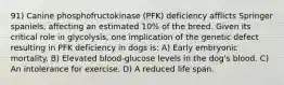 91) Canine phosphofructokinase (PFK) deficiency afflicts Springer spaniels, affecting an estimated 10% of the breed. Given its critical role in glycolysis, one implication of the genetic defect resulting in PFK deficiency in dogs is: A) Early embryonic mortality. B) Elevated blood-glucose levels in the dog's blood. C) An intolerance for exercise. D) A reduced life span.