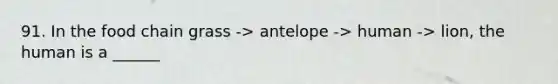 91. In the food chain grass -> antelope -> human -> lion, the human is a ______