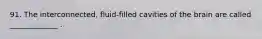 91. The interconnected, fluid-filled cavities of the brain are called _____________ .