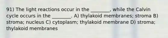 91) The light reactions occur in the ________, while the Calvin cycle occurs in the ________. A) thylakoid membranes; stroma B) stroma; nucleus C) cytoplasm; thylakoid membrane D) stroma; thylakoid membranes