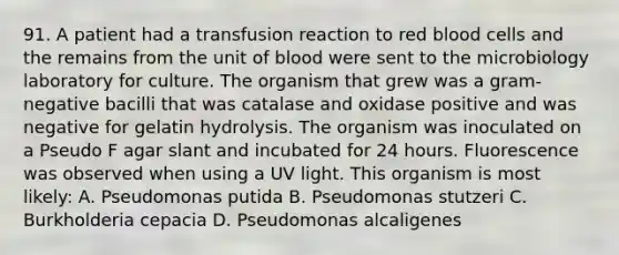 91. A patient had a transfusion reaction to red blood cells and the remains from the unit of blood were sent to the microbiology laboratory for culture. The organism that grew was a gram-negative bacilli that was catalase and oxidase positive and was negative for gelatin hydrolysis. The organism was inoculated on a Pseudo F agar slant and incubated for 24 hours. Fluorescence was observed when using a UV light. This organism is most likely: A. Pseudomonas putida B. Pseudomonas stutzeri C. Burkholderia cepacia D. Pseudomonas alcaligenes