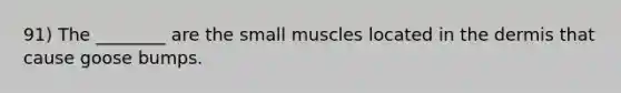 91) The ________ are the small muscles located in the dermis that cause goose bumps.