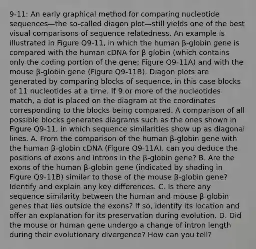 9-11: An early graphical method for comparing nucleotide sequences—the so-called diagon plot—still yields one of the best visual comparisons of sequence relatedness. An example is illustrated in Figure Q9-11, in which the human β-globin gene is compared with the human cDNA for β globin (which contains only the coding portion of the gene; Figure Q9-11A) and with the mouse β-globin gene (Figure Q9-11B). Diagon plots are generated by comparing blocks of sequence, in this case blocks of 11 nucleotides at a time. If 9 or more of the nucleotides match, a dot is placed on the diagram at the coordinates corresponding to the blocks being compared. A comparison of all possible blocks generates diagrams such as the ones shown in Figure Q9-11, in which sequence similarities show up as diagonal lines. A. From the comparison of the human β-globin gene with the human β-globin cDNA (Figure Q9-11A), can you deduce the positions of exons and introns in the β-globin gene? B. Are the exons of the human β-globin gene (indicated by shading in Figure Q9-11B) similar to those of the mouse β-globin gene? Identify and explain any key differences. C. Is there any sequence similarity between the human and mouse β-globin genes that lies outside the exons? If so, identify its location and offer an explanation for its preservation during evolution. D. Did the mouse or human gene undergo a change of intron length during their evolutionary divergence? How can you tell?