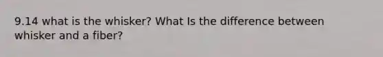 9.14 what is the whisker? What Is the difference between whisker and a fiber?