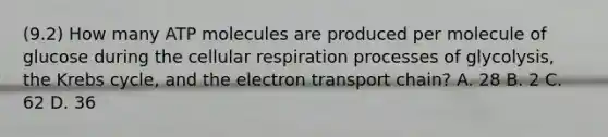 (9.2) How many ATP molecules are produced per molecule of glucose during the cellular respiration processes of glycolysis, the Krebs cycle, and the electron transport chain? A. 28 B. 2 C. 62 D. 36