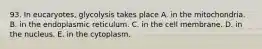 93. In eucaryotes, glycolysis takes place A. in the mitochondria. B. in the endoplasmic reticulum. C. in the cell membrane. D. in the nucleus. E. in the cytoplasm.