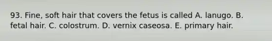 93. Fine, soft hair that covers the fetus is called A. lanugo. B. fetal hair. C. colostrum. D. vernix caseosa. E. primary hair.