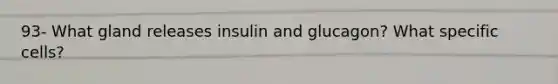 93- What gland releases insulin and glucagon? What specific cells?