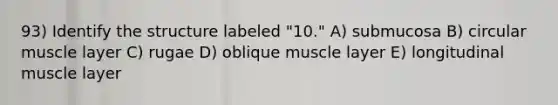 93) Identify the structure labeled "10." A) submucosa B) circular muscle layer C) rugae D) oblique muscle layer E) longitudinal muscle layer