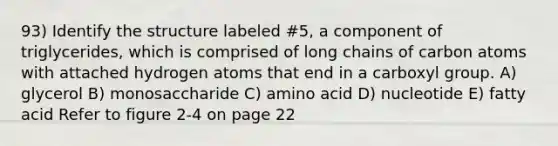 93) Identify the structure labeled #5, a component of triglycerides, which is comprised of long chains of carbon atoms with attached hydrogen atoms that end in a carboxyl group. A) glycerol B) monosaccharide C) amino acid D) nucleotide E) fatty acid Refer to figure 2-4 on page 22