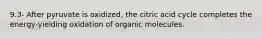 9.3- After pyruvate is oxidized, the citric acid cycle completes the energy-yielding oxidation of organic molecules.