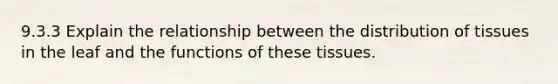 9.3.3 Explain the relationship between the distribution of tissues in the leaf and the functions of these tissues.