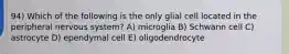 94) Which of the following is the only glial cell located in the peripheral nervous system? A) microglia B) Schwann cell C) astrocyte D) ependymal cell E) oligodendrocyte