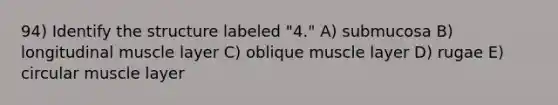 94) Identify the structure labeled "4." A) submucosa B) longitudinal muscle layer C) oblique muscle layer D) rugae E) circular muscle layer