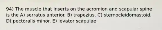 94) The muscle that inserts on the acromion and scapular spine is the A) serratus anterior. B) trapezius. C) sternocleidomastoid. D) pectoralis minor. E) levator scapulae.