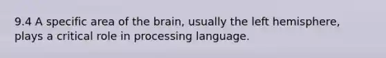 9.4 A specific area of the brain, usually the left hemisphere, plays a critical role in processing language.