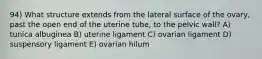 94) What structure extends from the lateral surface of the ovary, past the open end of the uterine tube, to the pelvic wall? A) tunica albuginea B) uterine ligament C) ovarian ligament D) suspensory ligament E) ovarian hilum