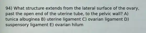 94) What structure extends from the lateral surface of the ovary, past the open end of the uterine tube, to the pelvic wall? A) tunica albuginea B) uterine ligament C) ovarian ligament D) suspensory ligament E) ovarian hilum