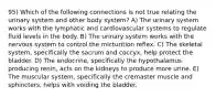 95) Which of the following connections is not true relating the urinary system and other body system? A) The urinary system works with the lymphatic and cardiovascular systems to regulate fluid levels in the body. B) The urinary system works with the nervous system to control the micturition reflex. C) The skeletal system, specifically the sacrum and coccyx, help protect the bladder. D) The endocrine, specifically the hypothalamus producing renin, acts on the kidneys to produce more urine. E) The muscular system, specifically the cremaster muscle and sphincters, helps with voiding the bladder.