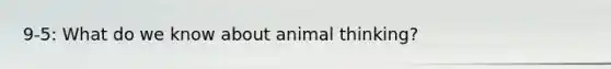 9-5: What do we know about animal thinking?