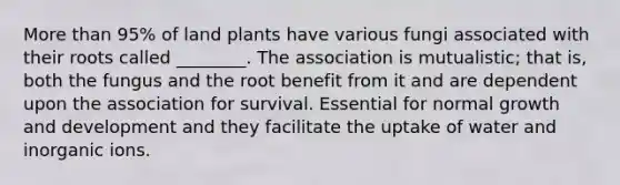 <a href='https://www.questionai.com/knowledge/keWHlEPx42-more-than' class='anchor-knowledge'>more than</a> 95% of land plants have various fungi associated with their roots called ________. The association is mutualistic; that is, both the fungus and the root benefit from it and are dependent upon the association for survival. Essential for normal <a href='https://www.questionai.com/knowledge/kde2iCObwW-growth-and-development' class='anchor-knowledge'>growth and development</a> and they facilitate the uptake of water and inorganic ions.