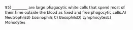 95) ________ are large phagocytic white cells that spend most of their time outside the blood as fixed and free phagocytic cells.A) NeutrophilsB) Eosinophils C) BasophilsD) LymphocytesE) Monocytes