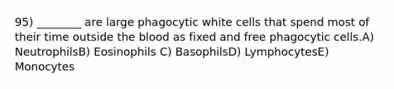 95) ________ are large phagocytic white cells that spend most of their time outside the blood as fixed and free phagocytic cells.A) NeutrophilsB) Eosinophils C) BasophilsD) LymphocytesE) Monocytes