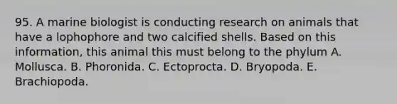 95. A marine biologist is conducting research on animals that have a lophophore and two calcified shells. Based on this information, this animal this must belong to the phylum A. Mollusca. B. Phoronida. C. Ectoprocta. D. Bryopoda. E. Brachiopoda.